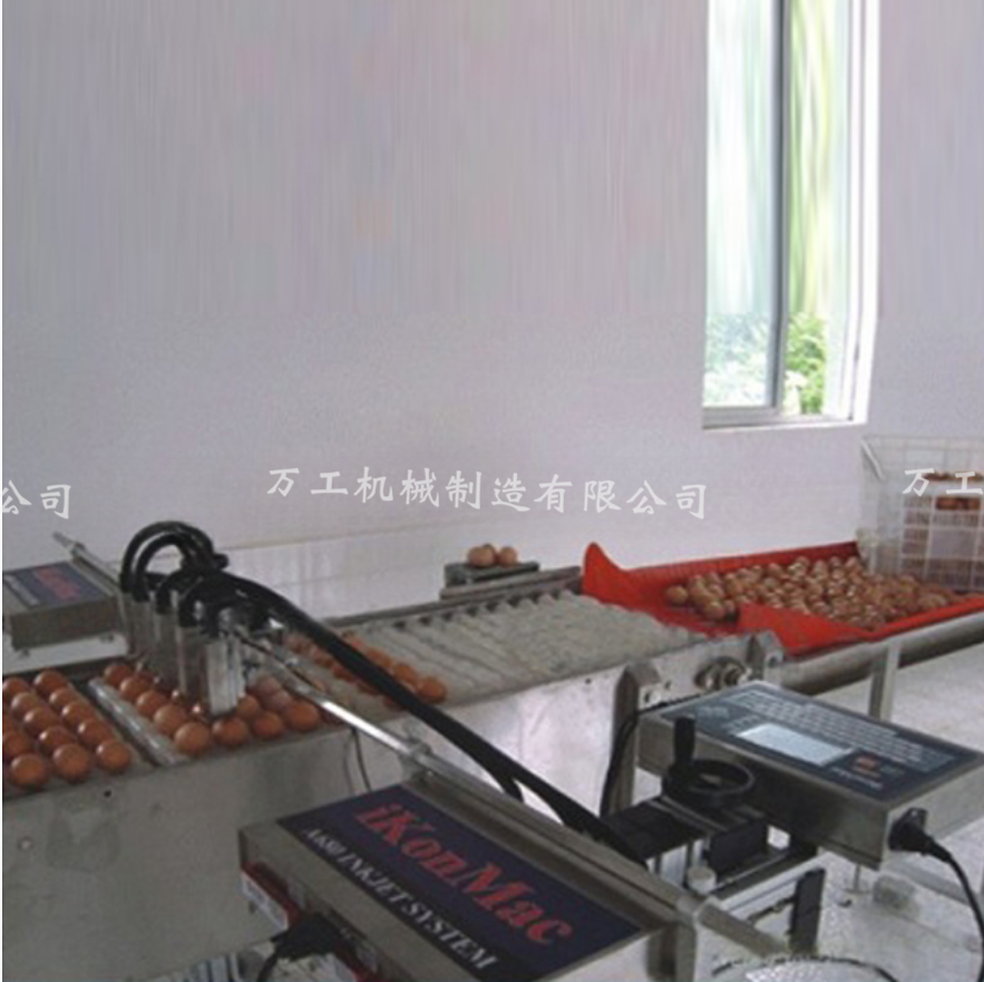雞鴨蛋蛋類清洗生產線